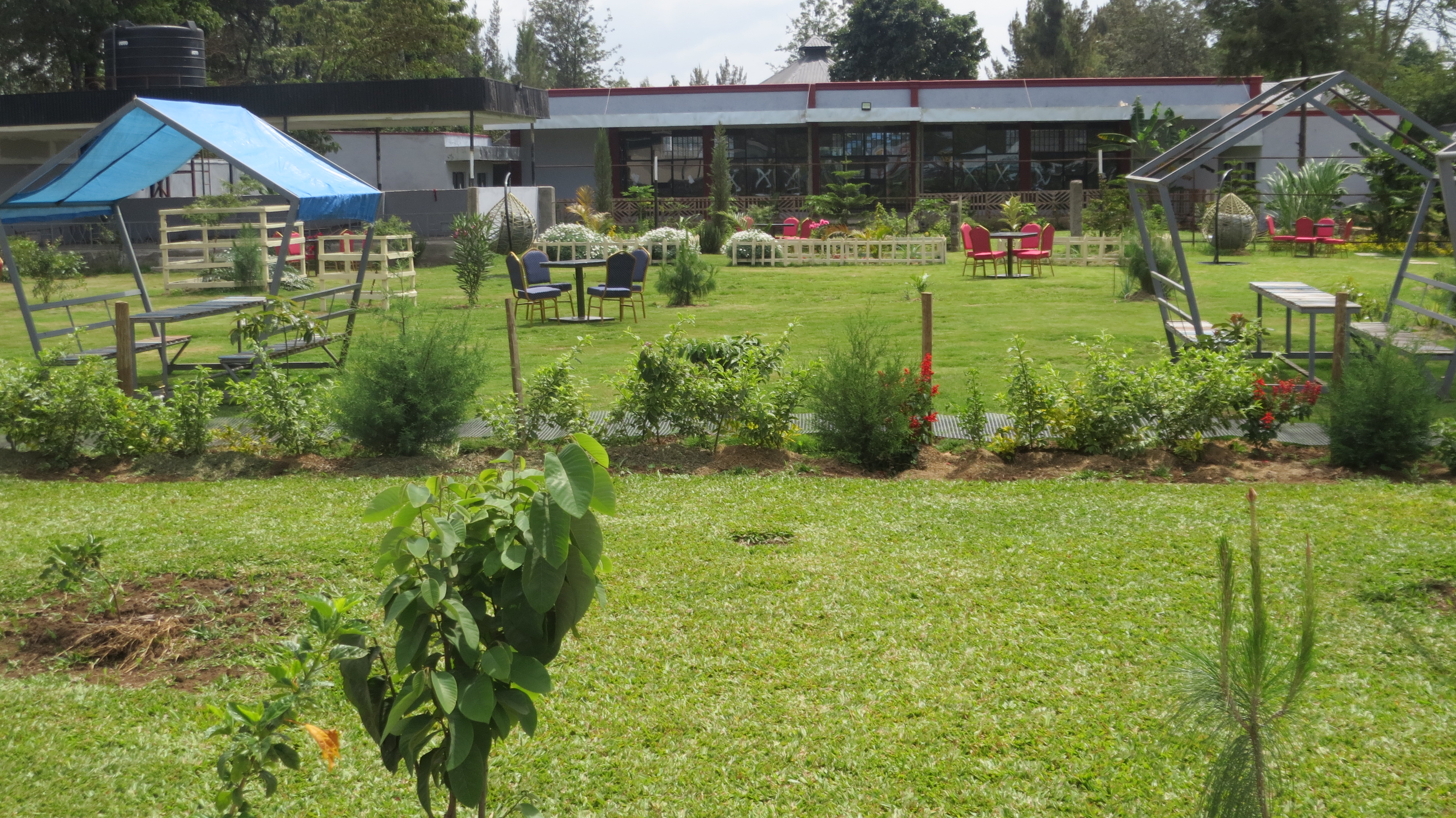 Wedding Gardens